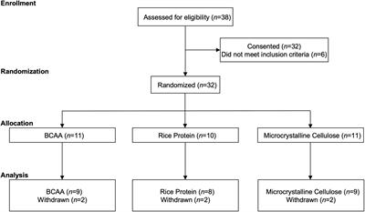 Dietary Supplementation With Branched Chain Amino Acids to Improve Sleep in Veterans With Traumatic Brain Injury: A Randomized Double-Blind Placebo-Controlled Pilot and Feasibility Trial